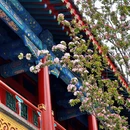 北京旅游 缩略图 4