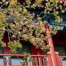 北京旅游 缩略图 3