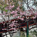 北京旅游 缩略图 8