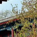 北京旅游 缩略图 6