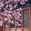 北京旅游 缩略图 7