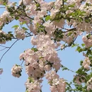 北京旅游 缩略图 6