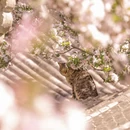 北京旅游 缩略图 3