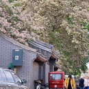 北京旅游 缩略图 3