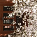 北京旅游 缩略图 16