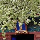 北京旅游 缩略图 6