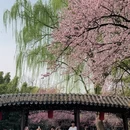 北京旅游 缩略图 1