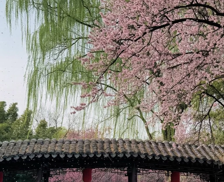 北京旅游 1