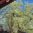 北京旅游 缩略图 7