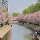 北京旅游 缩略图 11