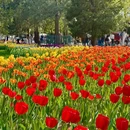 北京旅游 缩略图 13