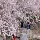 北京旅游 缩略图 8