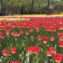 北京旅游 缩略图 17
