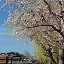 北京旅游 缩略图 14