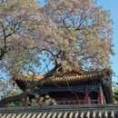 北京旅游 缩略图 15