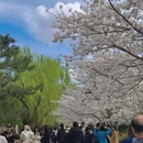 北京旅游 缩略图 16
