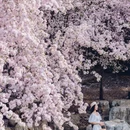 北京旅游 缩略图 2