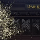 北京旅游 缩略图 6