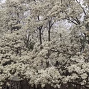 北京旅游 缩略图 10