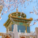 北京旅游 缩略图 1