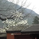 北京旅游 缩略图 13