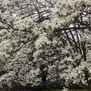 北京旅游 缩略图 11