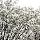 北京旅游 缩略图 14
