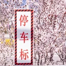 天水旅游 缩略图 4