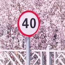 天水旅游 缩略图 6