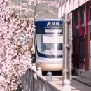 天水旅游 缩略图 7