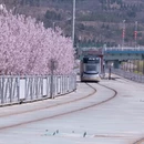 天水旅游 缩略图 3
