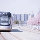 天水旅游 缩略图 5