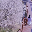 青岛旅游 缩略图 6