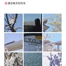 青岛旅游 缩略图 1