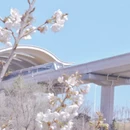 青岛旅游 缩略图 3
