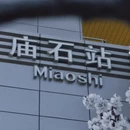 青岛旅游 缩略图 4