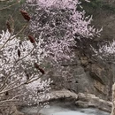 北京旅游 缩略图 1
