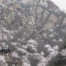 北京旅游 缩略图 4