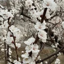 北京旅游 缩略图 5