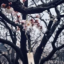 北京旅游 缩略图 10