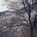 北京旅游 缩略图 2