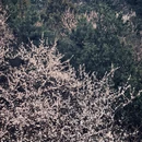 北京旅游 缩略图 15