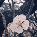 北京旅游 缩略图 12