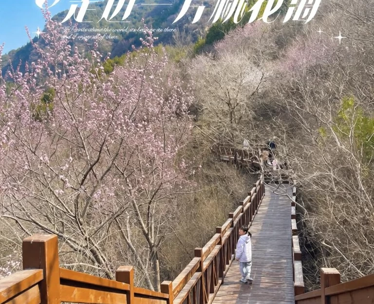北京旅游 1