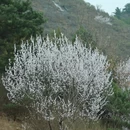 北京旅游 缩略图 14