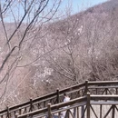 北京旅游 缩略图 4