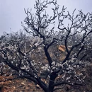 北京旅游 缩略图 11