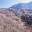 北京旅游 缩略图 5