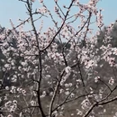 北京旅游 缩略图 6