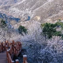 北京旅游 缩略图 8